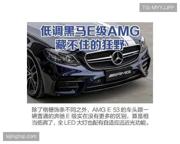 E组黑马背后的关键数据